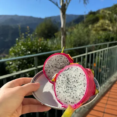 Refugio Camelias * Santana (Madeira)