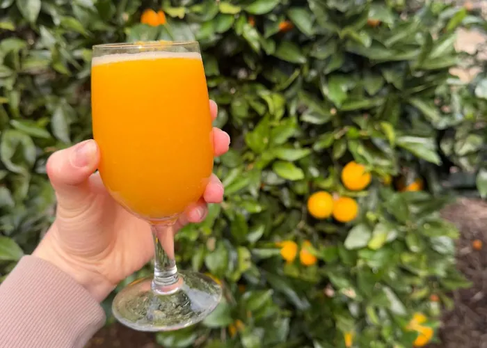 Refugio Camelias Landsted *