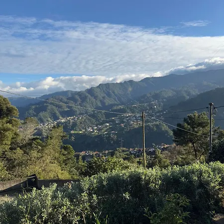Refugio Camelias