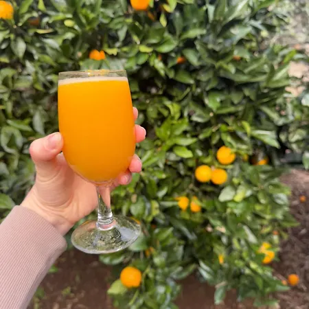 Refugio Camelias Venkovský dům *