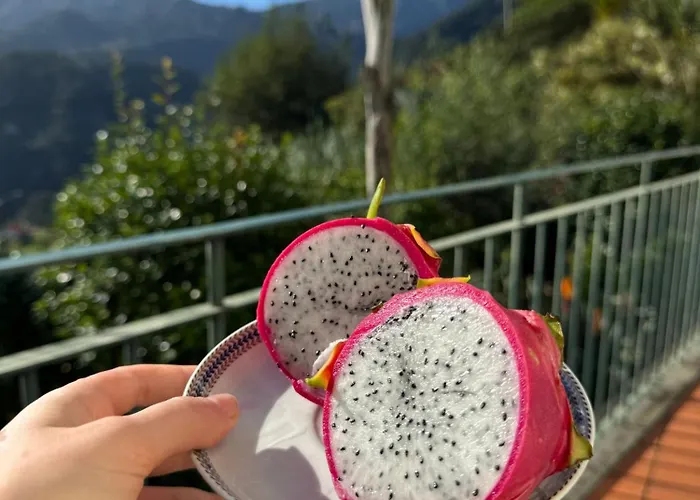 Refugio Camelias * Santana (Madeira)